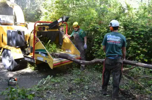 tree services Bentonville